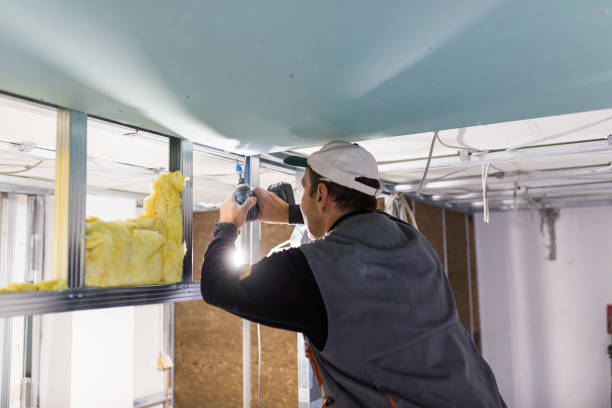 Best Insulation Maintenance and Repair in Rancho Palos Verdes, CA